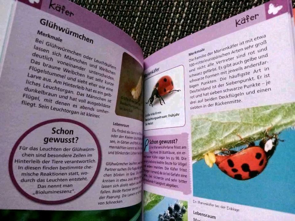 Natur Detektive Kinder Bibliothek Bücher Tiere Meer Wald ua BtBj in Neudenau 