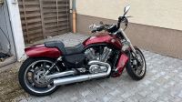 Harley Davidson V-Rod Muscle Hessen - Hochheim am Main Vorschau