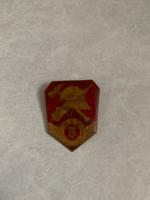 Diverse Anstecker Medaillen Schilder Plaketten Münzen DDR Sachsen - Kirchberg Vorschau