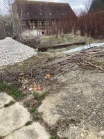 Verwahrlostes Baugrundstück in Nobitz, OT Bornshain Thüringen - Nobitz Vorschau