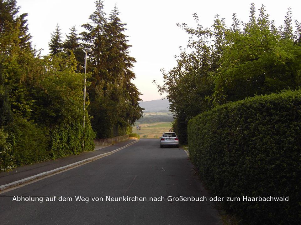 Goethes gesammelte Werke in 7 dekorativen Bänden in Neunkirchen a. Brand