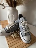 samt Converse Chucks Hessen - Bebra Vorschau