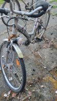Fahrrad zu verkaufen Schleswig-Holstein - Osterhorn Vorschau