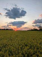 Wald, Acker und Grünland Sachsen-Anhalt - Kalbe (Milde) Vorschau