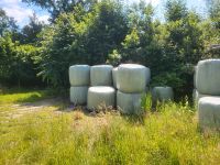 Heulage Silage Nordrhein-Westfalen - Gescher Vorschau