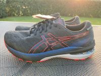 Asics GT 2000 10 GTX Neu Gr. 41,5-48 GoreTex Herren Rheinland-Pfalz - Wittgert Vorschau