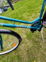 Fahrrad, TOP Zustand, 26 Zoll Hessen - Marburg Vorschau