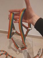 Halfter + Führstrick Warmblut in Regenbogenfarben wie neu Nürnberg (Mittelfr) - Aussenstadt-Sued Vorschau