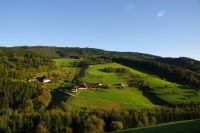 Pensionsplätze frei kl Offenstall Kinzigtal Reitplatz/Flutlicht Baden-Württemberg - Nordrach Vorschau