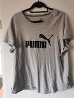 Puma Shirt Sachsen-Anhalt - Rohrberg Altmark Vorschau