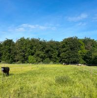 Boxen frei Niedersachsen - Melle Vorschau