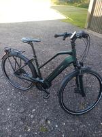 E-Bike, Raleigh, Sheffield 8 Schleswig-Holstein - Kappeln Vorschau