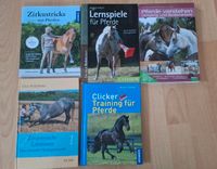Pferdebücher Trainingsbücher Hannover - Vahrenwald-List Vorschau