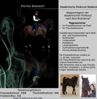 KURS: Akademische Reitkunst mit Petra Bienert Hessen - Korbach Vorschau