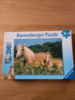 Ravensburger Puzzle Bayern - Dollnstein Vorschau