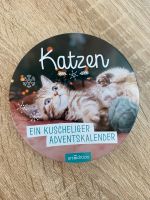 Arsedition Ein kuscheliger Adventskalender Katzenkalender Dose Baden-Württemberg - Plüderhausen Vorschau