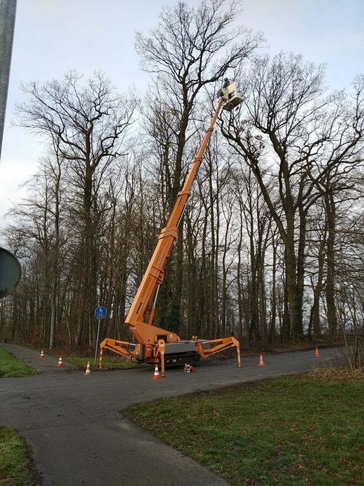 Forstwirt/Baumpfleger gesucht in Horn-Bad Meinberg