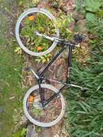 Mountainbike 24 Gang C 60 Kr. Passau - Passau Vorschau