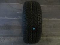 Winterreifen 195/55R15 85H Gislaved Euro Frost 5 Baden-Württemberg - Freudenstadt Vorschau