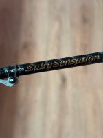 Evergreen Salty Sensation The Wild Side PSSS-76T Shimano Daiwa Hessen - Bad Vilbel Vorschau