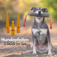 Hundepfeife 3er-Set Ausbildung Pfeife Hunde Kunststoff Hunde Nordrhein-Westfalen - Wegberg Vorschau