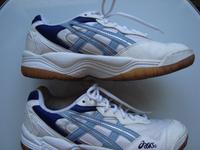 Asics   neue Schuhe  weiß    Gr.40,5 Dortmund - Innenstadt-West Vorschau