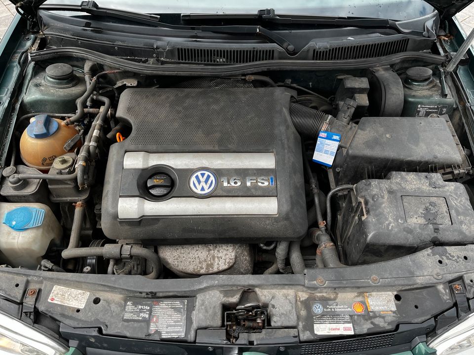 VW Golf 4 1.6 FSI BJ 2002 in Simmern