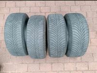 Goodyear Allwetterreifen 195/55R16 87H Niedersachsen - Munster Vorschau