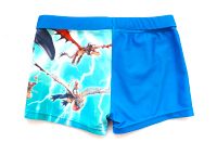 Badehose Gr.98/104 Drachen zähmen Badeshorts Schwimmhose NEUWERTI Dresden - Strehlen Vorschau