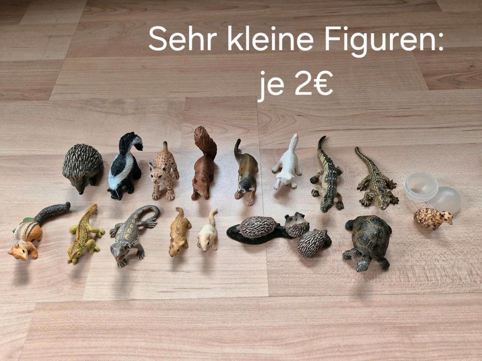 Schleich Figuren Wildlife in Hofgeismar