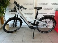 E-BIKE Winora Yakun R5 Pro * 85Nm * i750Wh * 150kg * TB & NEU Sachsen - Röhrsdorf Vorschau