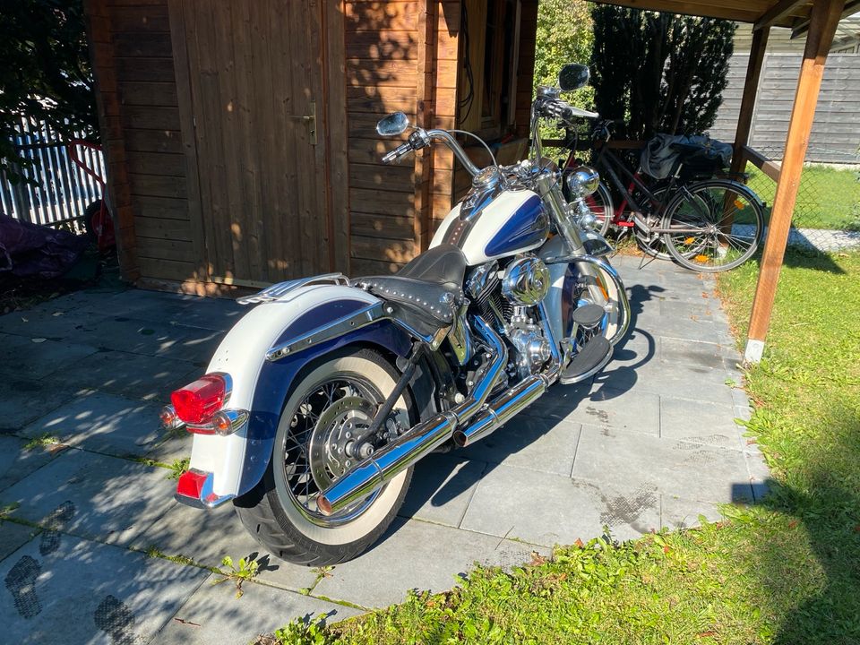 Harley Davidson Heritage Softail FLSTC in Fürstenfeldbruck