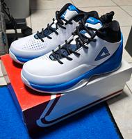 PEAK Basketball Schuhe EUR 40  NBA Jason Kidd Bayern - Prien Vorschau