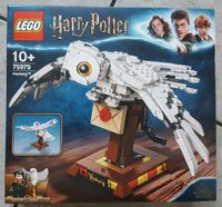 Lego 75979 Harry Potter Hedwig ungeöffnet Niedersachsen - Lehrte Vorschau