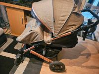 Daliya® Rapidy Buggy / Kinderwagen 0-36 Monate Niedersachsen - Hohenhameln Vorschau