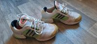 Adidas Clima Cool Schuhe gr. 39 1/3 Sachsen-Anhalt - Staßfurt Vorschau