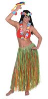 JGA Houla Kostüm / Hawaii Tänzerin Niedersachsen - Wiefelstede Vorschau