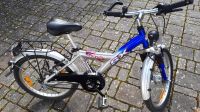 Pegasus Kinder-Fahrrad 20 Zoll für 6-7-Jährige Bayern - Nittendorf  Vorschau