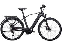 NUR 1x | E-Trekking/City E-Bike | BOSCH Performance CX | 500 Wh | AKTION Schleswig-Holstein - Klein Gladebrügge Vorschau