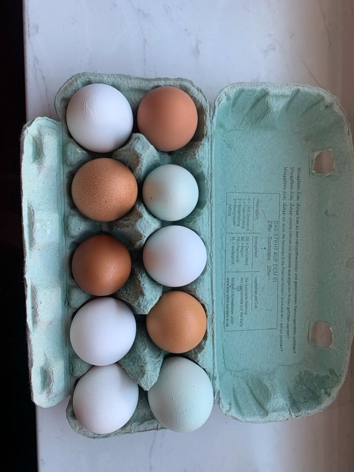 Eier von glücklichen Hühnern (evtl auch als Bruteier) in Arnstorf