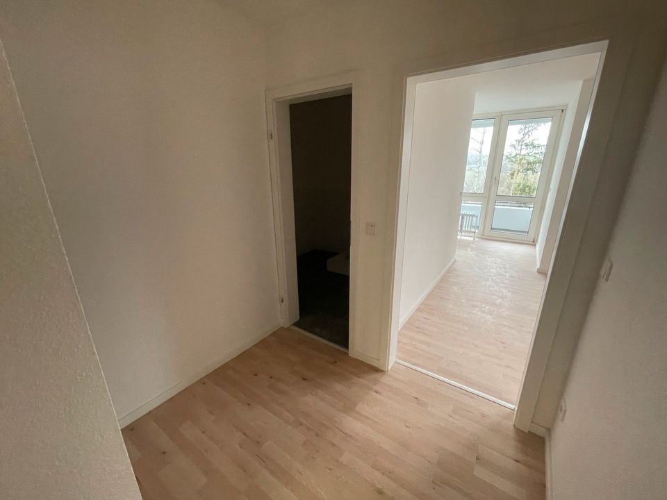 1-Zimmer-Wohnung mit Balkon im Ahornweg in 57557 Hamm (Sieg) in Hamm (Sieg)