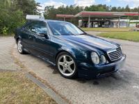 Mercedes Coupé W208 CLK 430 - V8 - 279 PS - 4,3l - AMG Paket Brandenburg - Ludwigsfelde Vorschau