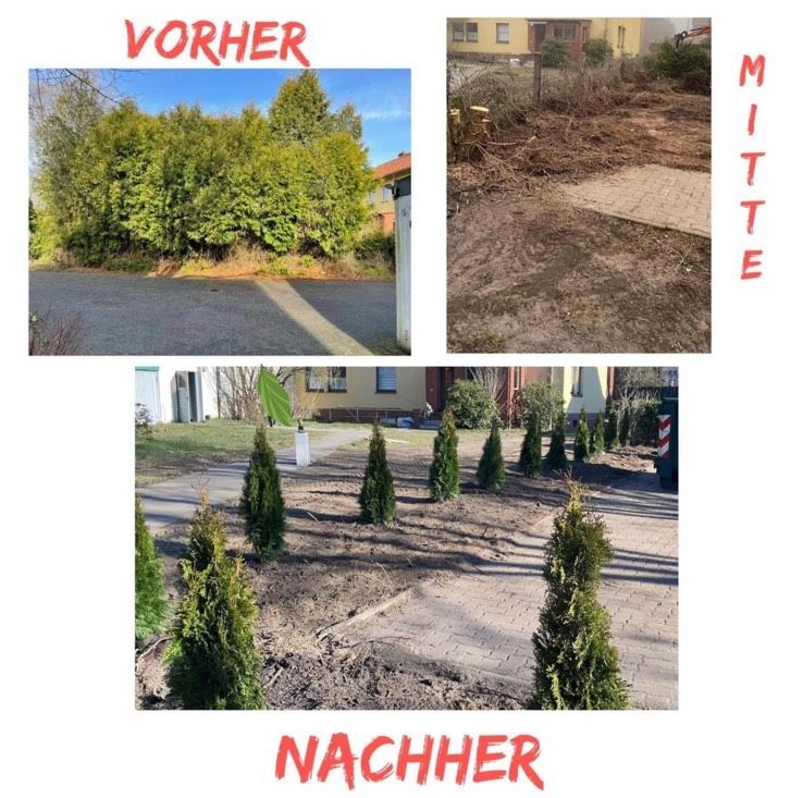 ❗️Hilfe rund um Haus/Hof/Garten❗️Allround Handwerker in Nienburg (Weser)