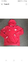 Adidas FC Bayern München Pullover Hoodie Gr.M Gr.152 Neuwertig Dresden - Schönfeld-Weißig Vorschau