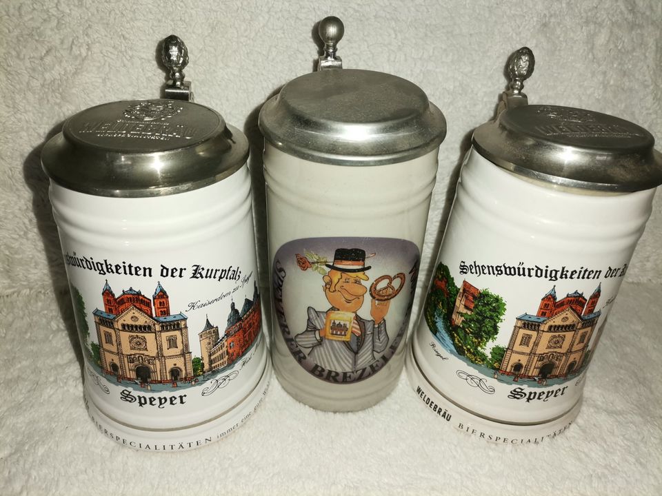 HISTORISCHE BIERKRÜGE AUS PORZELLAN / GLASS / STEINGUT & ZINN in Schwegenheim