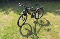 16 Zoll Bulls-Mountainbike Niedersachsen - Lingen (Ems) Vorschau