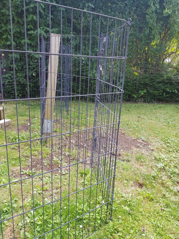 Zaun Laufgehege für Kaninchen, Hühner... in Bad Reichenhall