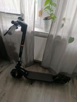 E Scooter Ninebot F20 D Niedersachsen - Leer (Ostfriesland) Vorschau