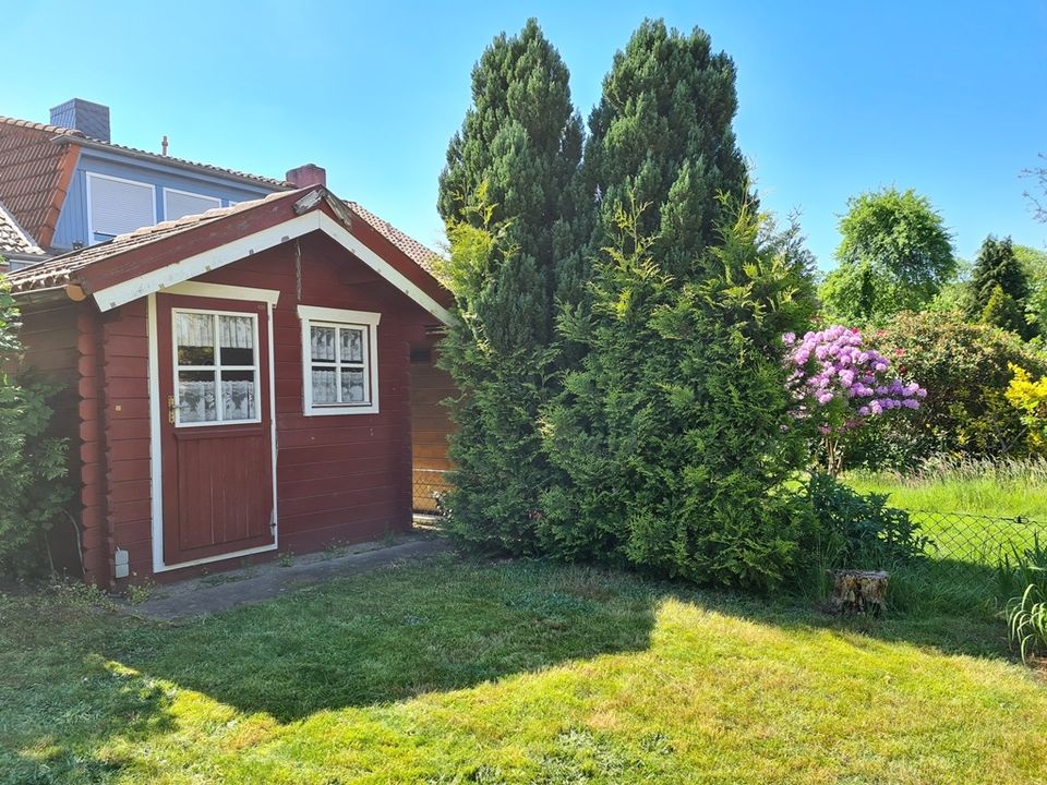 Reihenhaus in Stadtrandlage von Buchholz - provisionsfrei! - in Buchholz in der Nordheide