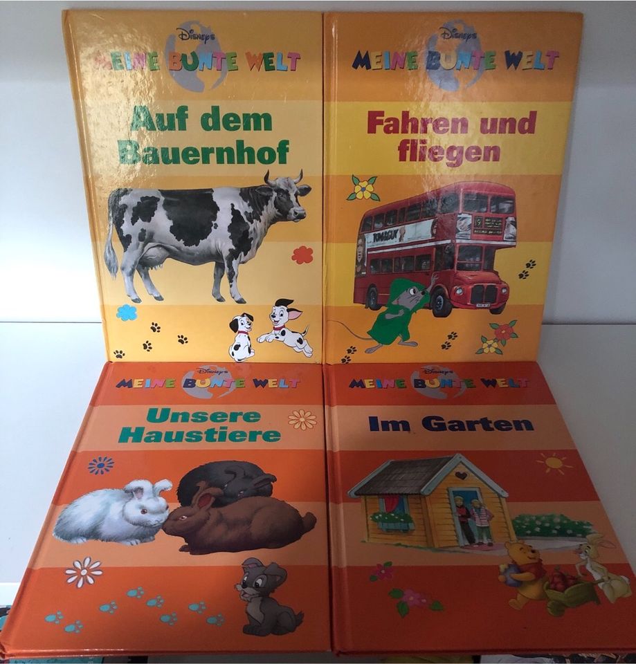 Disney - Meine Bunte Welt (Kinderbücher) in Essen